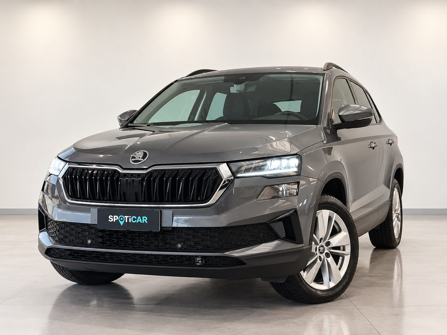 Skoda Karoq Karoq 1.0 TSI 115 CV Executive
